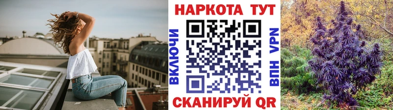 Где продают наркотики Шумерля АМФЕТАМИН  KRAKEN tor  Гашиш  Cocaine  MDMA  Alpha-PVP  Псилоцибиновые грибы  МЕФ 