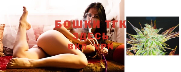 прущие крисы Арсеньев