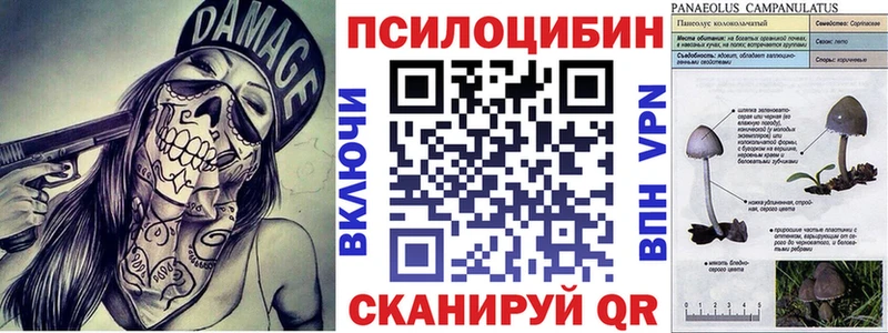 Галлюциногенные грибы GOLDEN TEACHER  Шумерля 
